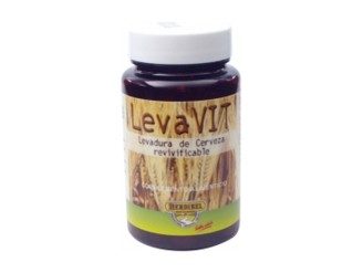 Levavit