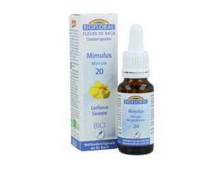 Mimulus