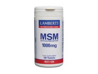 MSM