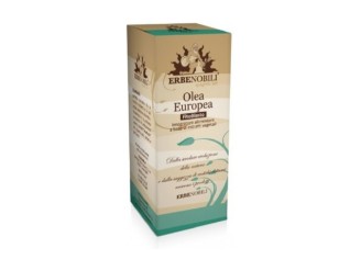 Olivo