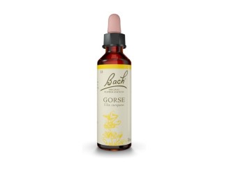 Flores de Bach Gorse