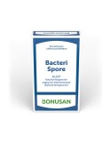 Bacteri spore
