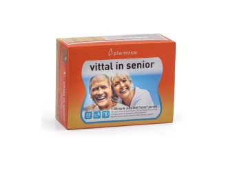 Vittal in Senior