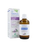 Aceite esencial romero canfor
