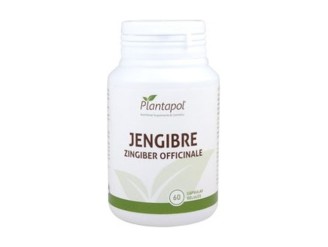 Jengibre