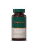 Gsh Glutation