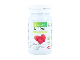 Nopal