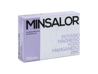 Minsalor