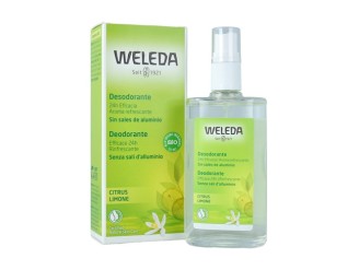 Desodorante spray citrus