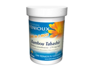 Bambú de Tabasir