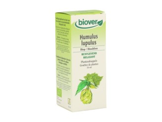 Humulus Lupulus (Lupulo)