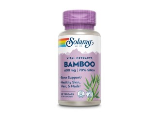 Bamboo