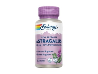 Astragalus