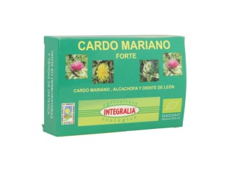 Cardo Mariano Forte