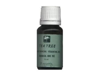Aceite esencial de árbol de té