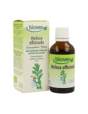 Melissa Officinalis (Melisa) Bio