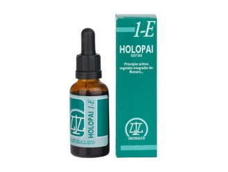 Holopai 1-E