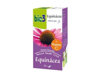 Bie 3 Equinacea