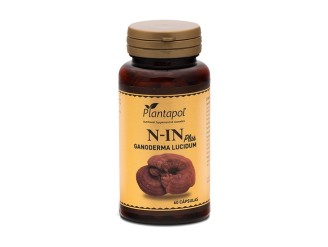 N-In plus