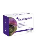 Alcachofera