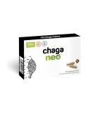 Chaga