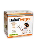 Poliar Regen
