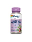 Mastic Gum
