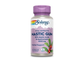 Mastic Gum