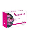 Echinacea