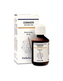 Coniver recordum funciones cognitivas