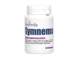 Gymnema Sylvestre