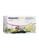 Regendol Flexi