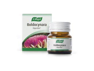 Boldocynara