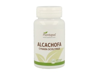 Alcachofa