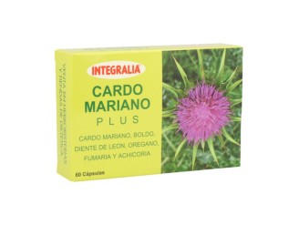 Cardo Mariano Plus