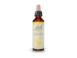 Flores de Bach Cerato