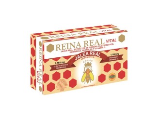Jalea Reina Real Vital