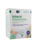 Intecol glutamina