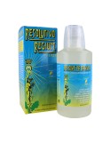 Resolutivo Regium