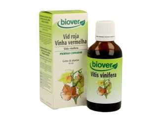 Vid Roja (Vitis Vinifera)