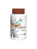 Bambusi