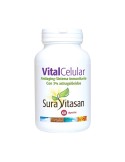 Vital Celular