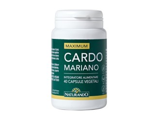 Maximum cardo mariano