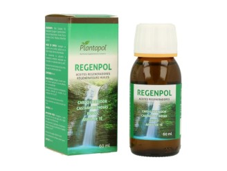 Regenpol