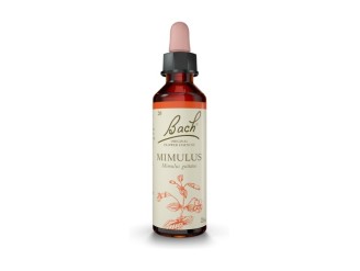 Bach Mimulus