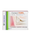 Conect Forte
