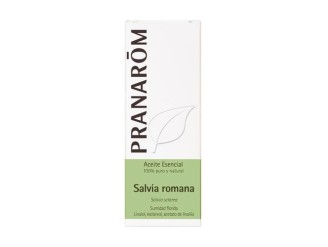 Salvia Romana