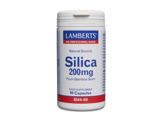 Silicio