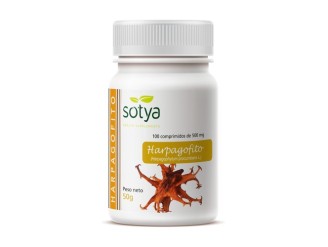Harpagofito