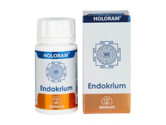 Holoram Endokrium